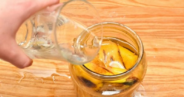 Ella echó agua a la cáscara de plátano, y la dejó reposar por la noche. ¡Muy útil!